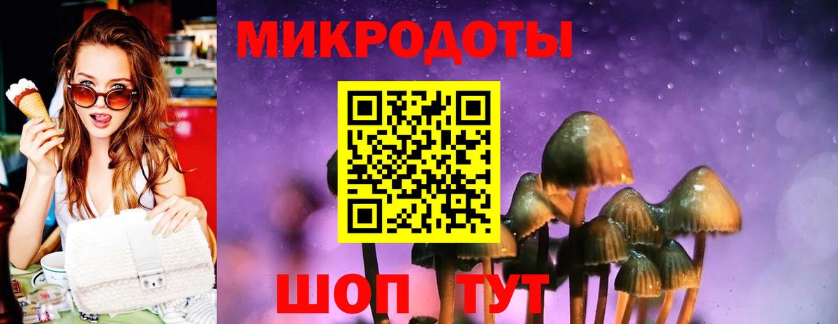 Псилоцибиновые грибы MAGIC MUSHROOMS  Вход с VPN  Фурманов 